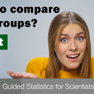 How to compare two groups?