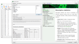 Descriptive statistics - statistical analyses - screenshot