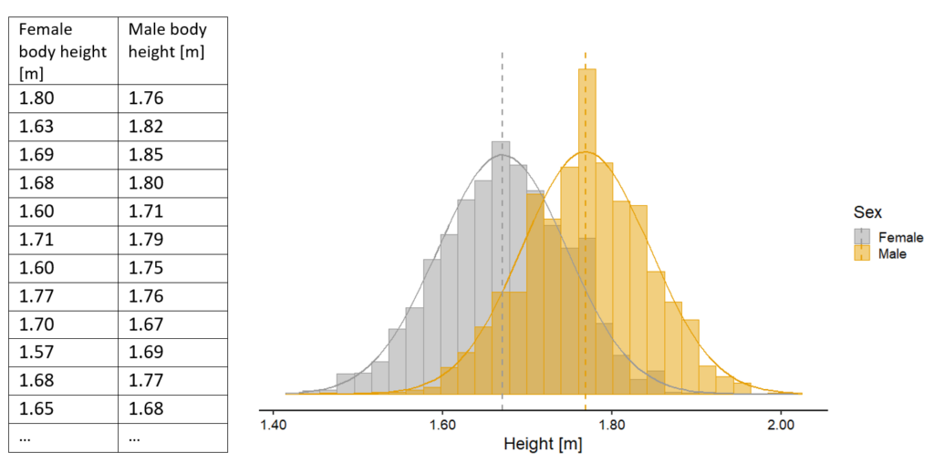 Female and male body heights